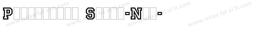 Princetown Solid-Nor字体转换
